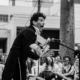 tony fratello
